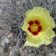 Baja2011 539 : Baja2011